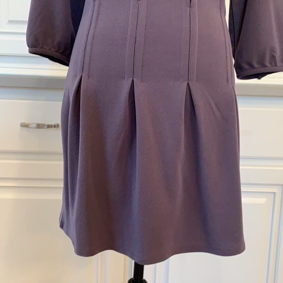 Fossil ~ Pleated Drop Waist Dress in Eggplant - Picture 4 of 16